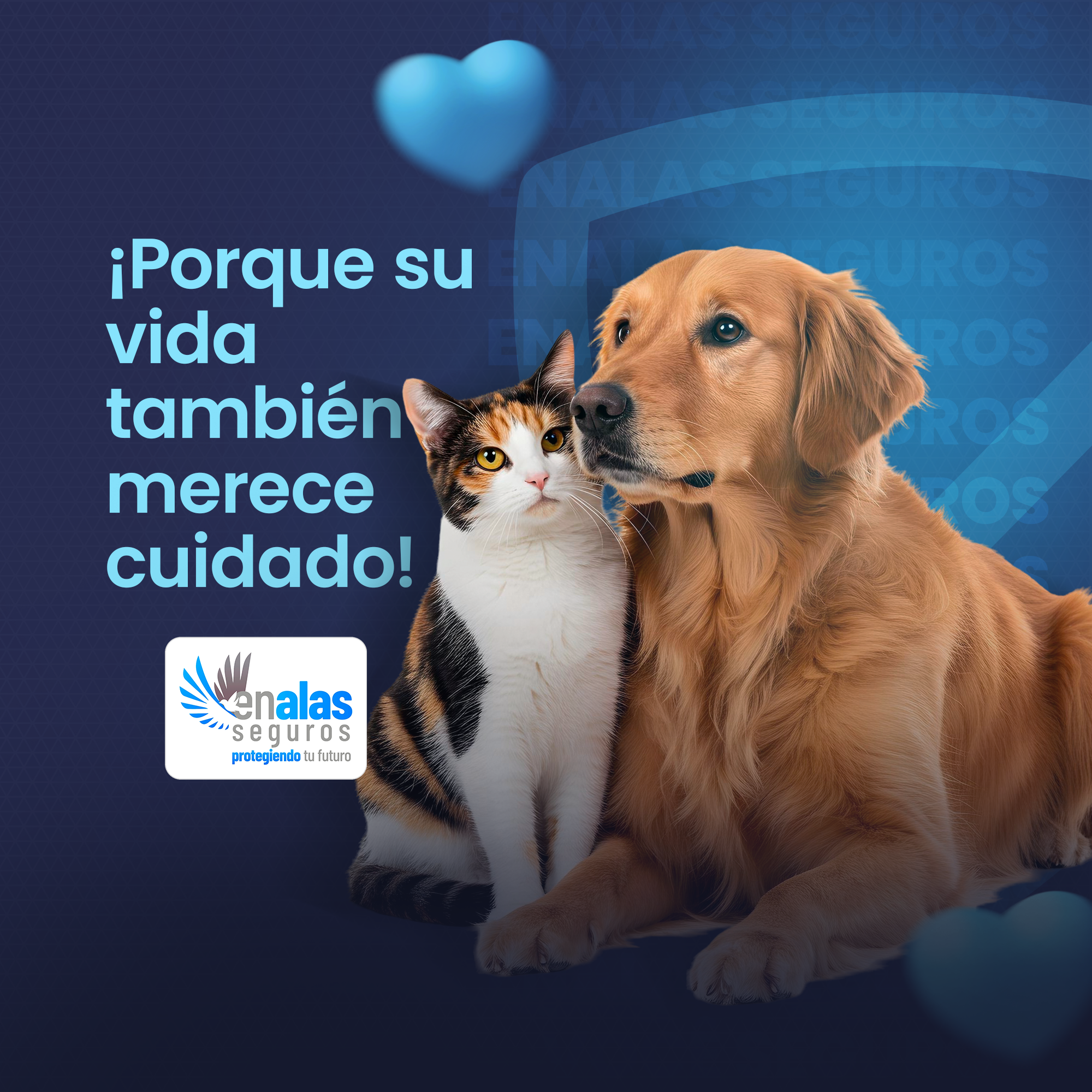 Seguro de mascotas